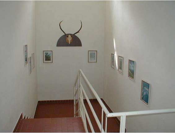 Restaurace A Pension Prvni Mlyn Chomutov Exterior photo